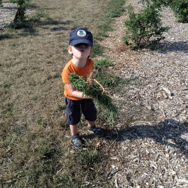 IMG_20220831_105653-scaled[1]